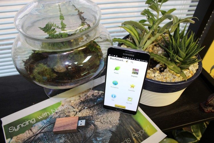 hjälpsamma-appar-växter-rätt-vård-cachepot-glas-blomkruka-smartphone