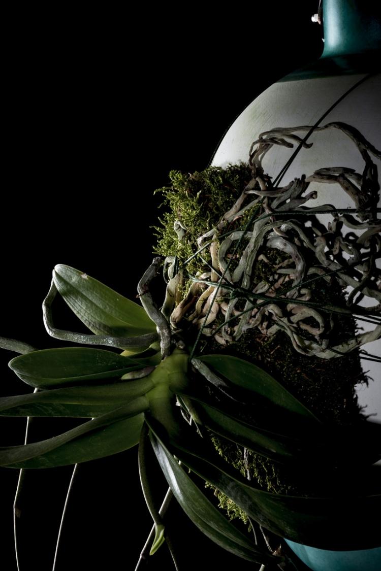 Hängande blomkrukor -epifyter-Milan-Designwoche