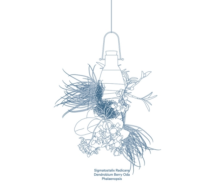 hängande-blomkrukor-epifyter-sigmatostalix-dendrobium-bär-oda-phalaenopsis