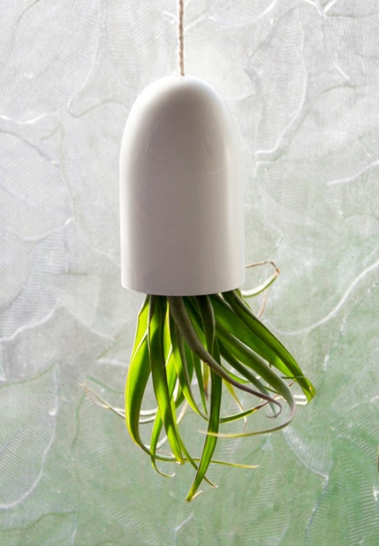 trendiga hängande växter dekoration idéer mini terrarium