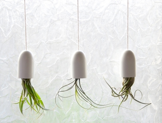 gröna hängande planteringar gör själv dekoration trendigt billigt