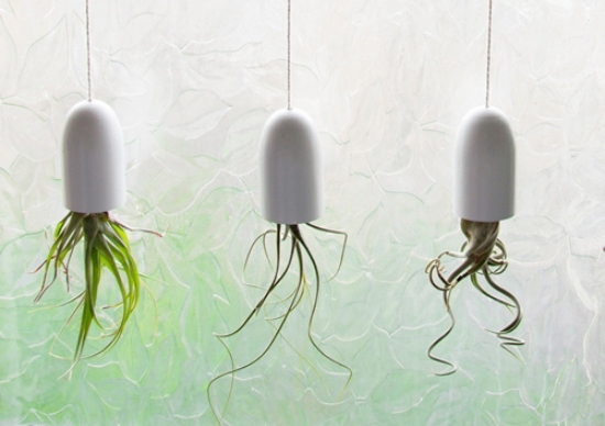 husfönster moderna idéer gör planters själv dekoration
