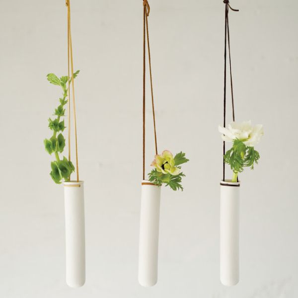 hängande hus växter planters provrör idéer design