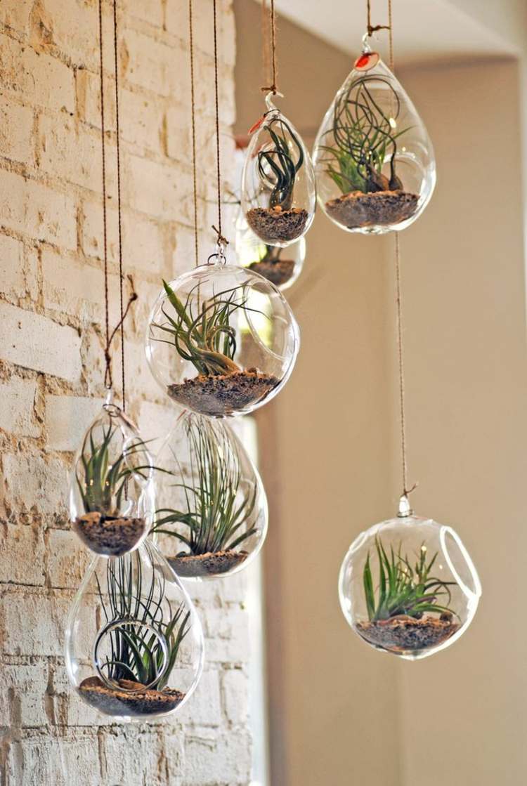 hängande-planteringsglas-aqaurium-idé-tegel-vägg