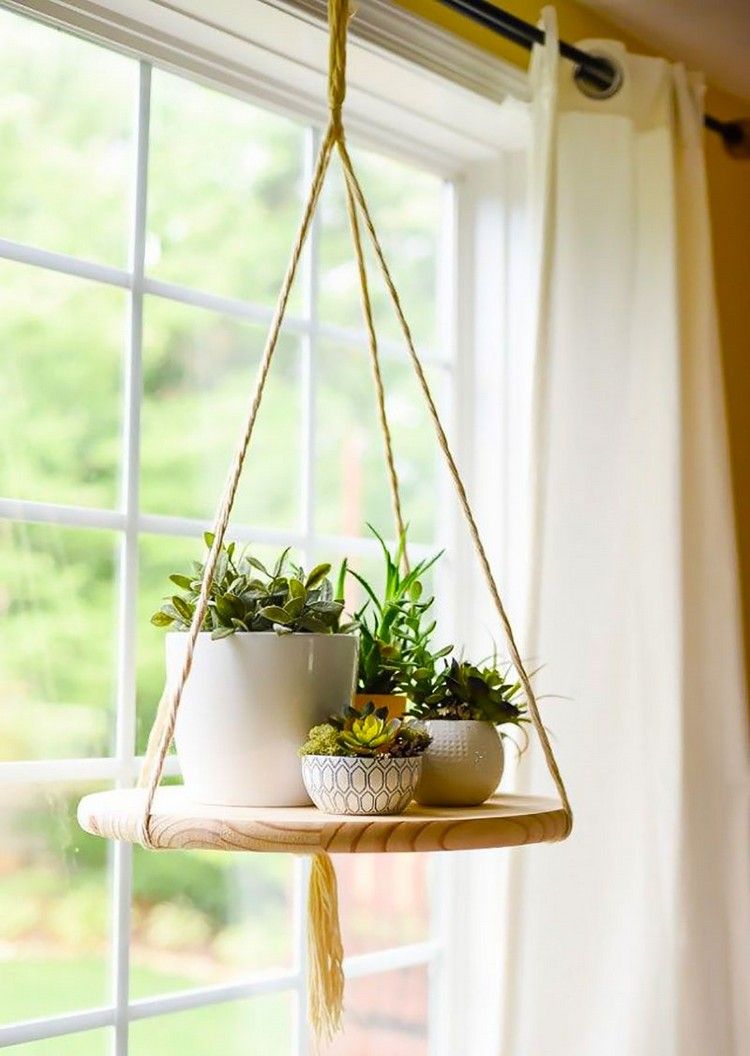 hängande takhylla växter rep använda rund form trä fönster gardin