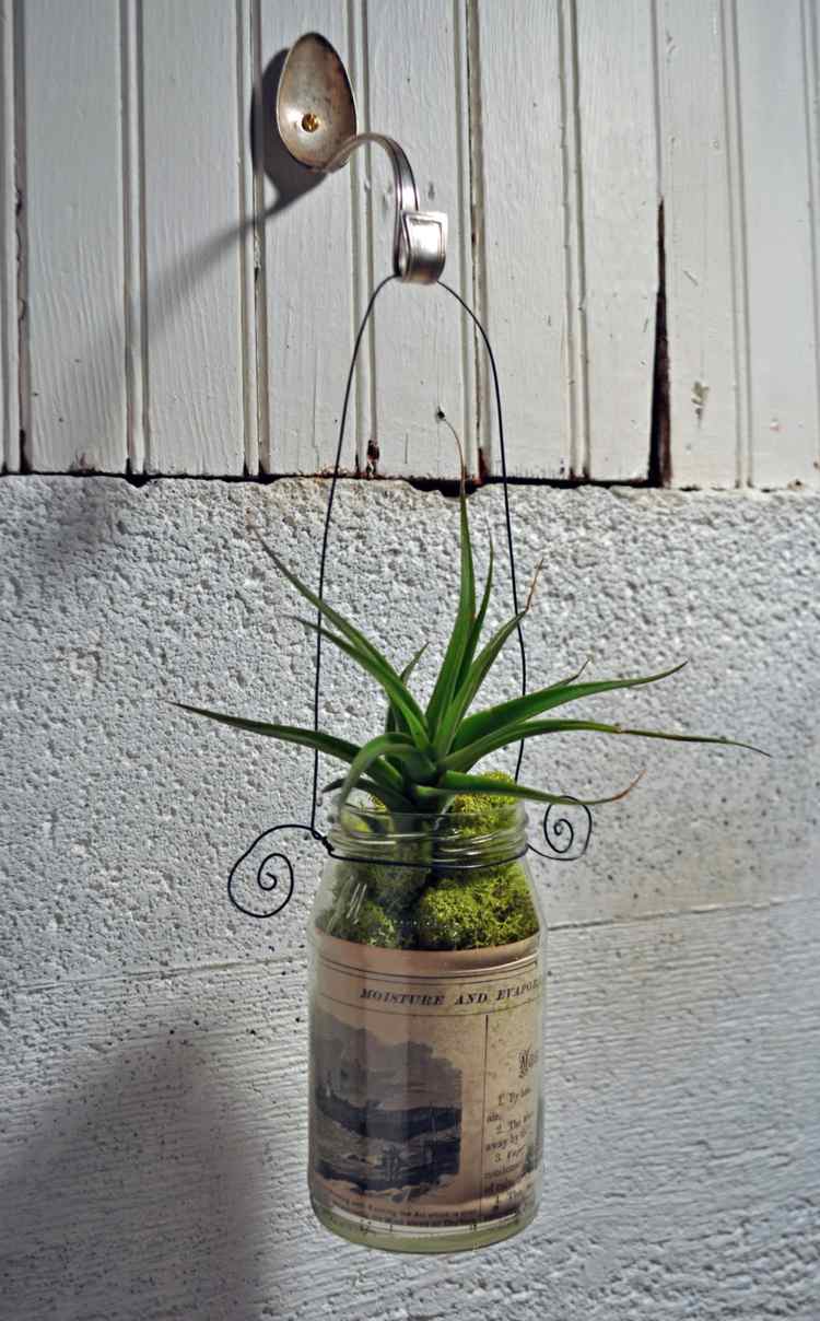 Gör-det-själv hängande-kruka-burk-flaska-luft-växter-moss-tråd