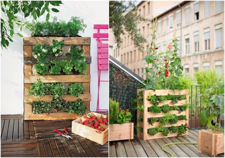 Upphöjda sängpallar-bygg-jordgubbar-grönsaker-örter-vertikal