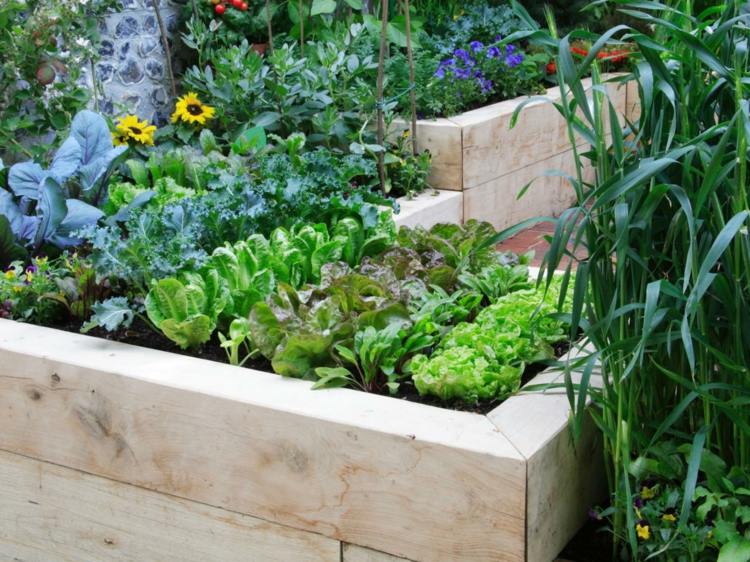 Bygg-en-upphöjd-säng-bygg-trä-grönsaks-trädgård