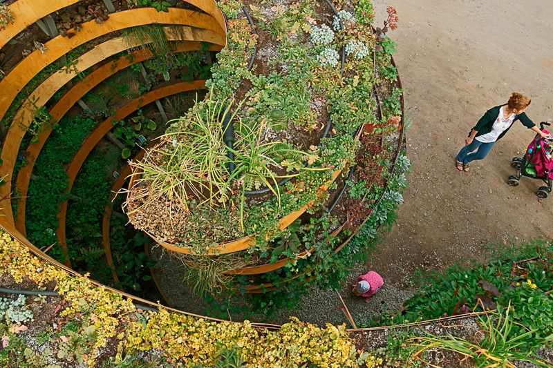 Upphöjd säng-trädgård-spiral-besökare-höga växter