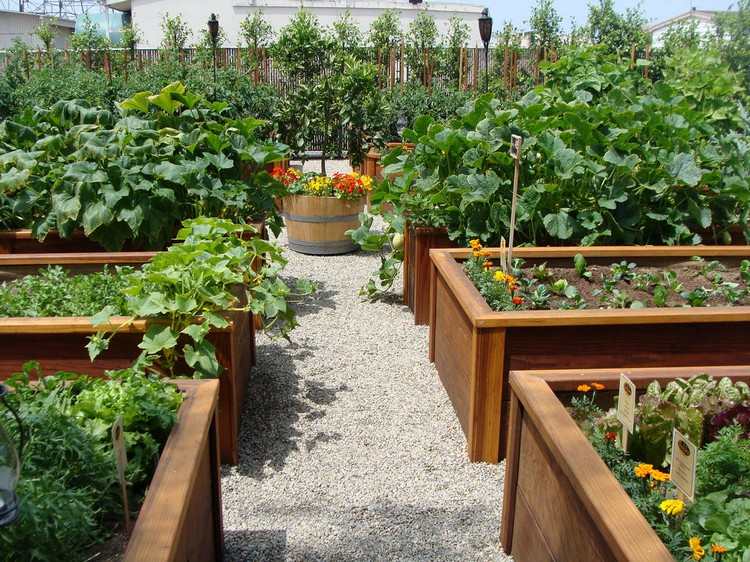 Bygg en höjd säng själv plantera-skapa-skapa-trädgård