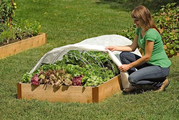 Upphöjd säng-bygg-själv-tak-täck-litet växthus