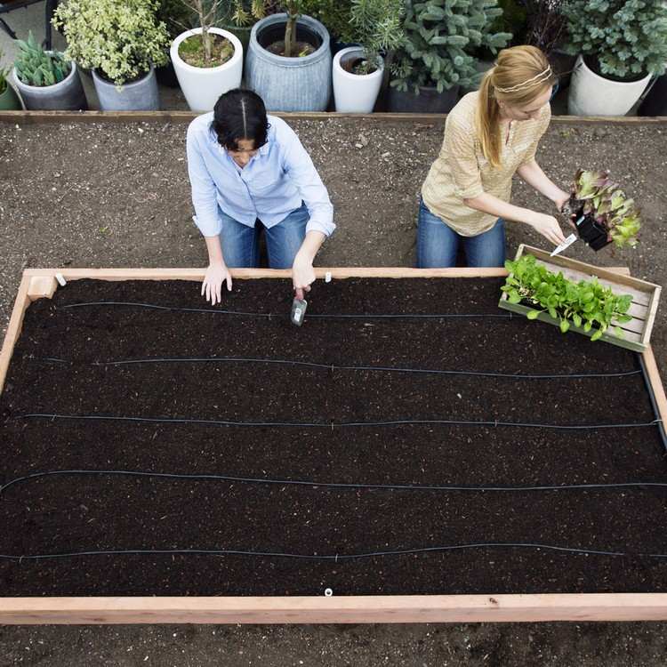 Upphöjda säng-bygg-själv-jord-fyll-växt-idéer