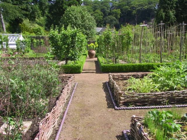 upphöjda sängar trädgård bygg idéer grönsaks trädgård wattle staket