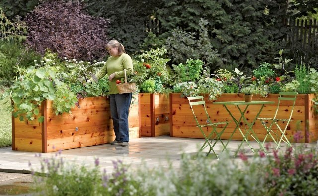 upphöjda sängar i trädgården bygga idéer från trädgårdsgrönsaksodlingar