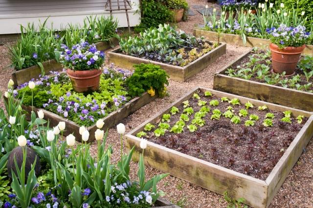 upphöjda sängar bygger trädgårdsidéer blommor grönsaker