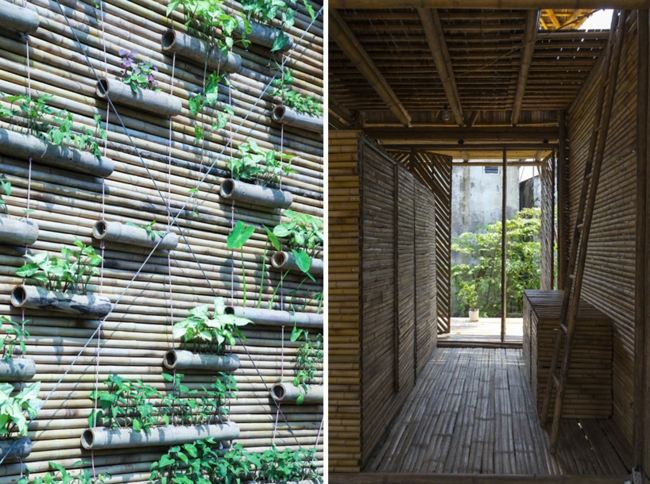 vertikal trädgård vietnam bambu byggmaterial