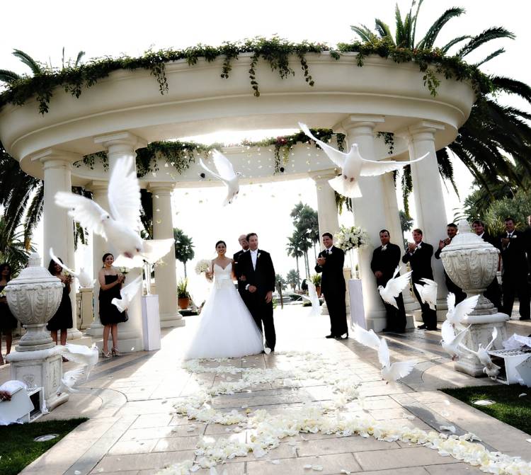 bröllop i vit brud brudgummen duvor blomma exotiska