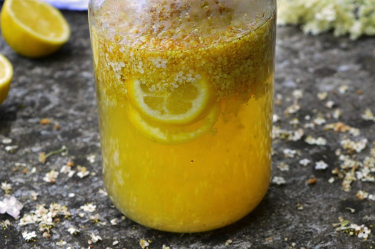 fläder recept recept likör sirap citron kilar förberedelse