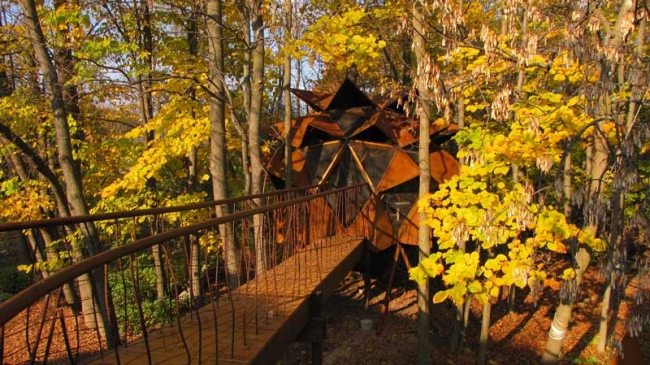 Trädkoja trä bro bygga koppar bo i skogen
