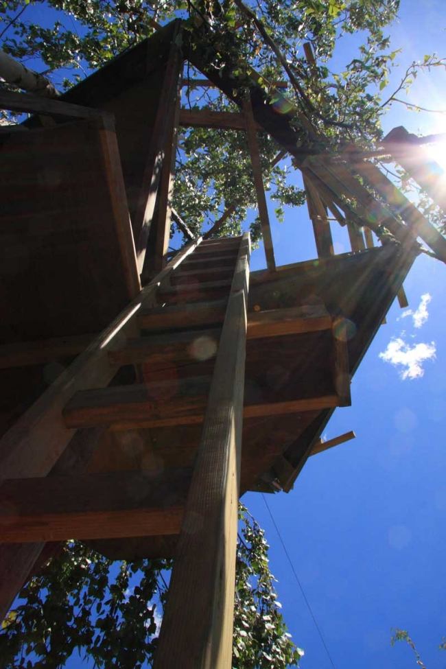 Treehouse Overnight-Build TreeTower Ladder