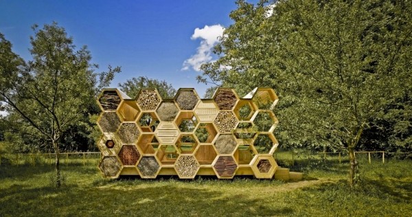Honeycomb träpaviljongbihotell