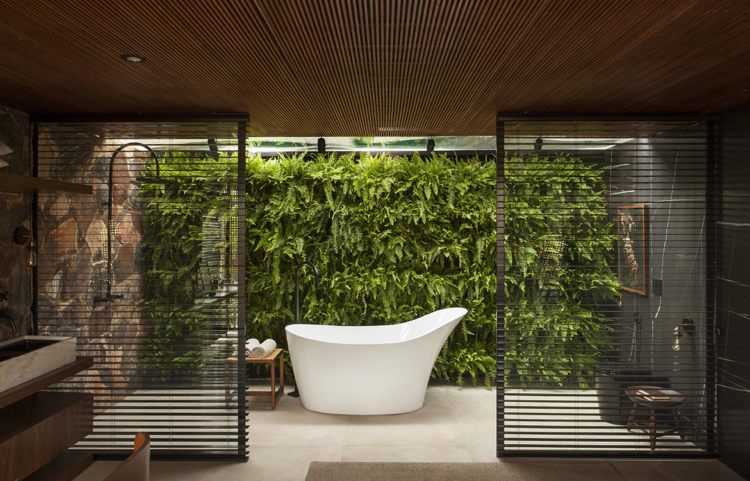 Integritetsskydd inuti persienner fönster fristående badkar gröna vägg ormbunkar