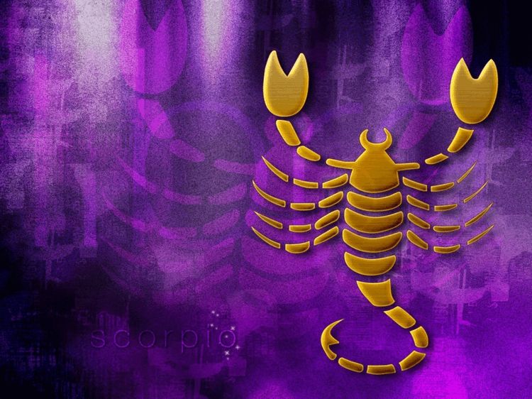 Horoskop Skorpionen År Horoskop Star Sign Love Health