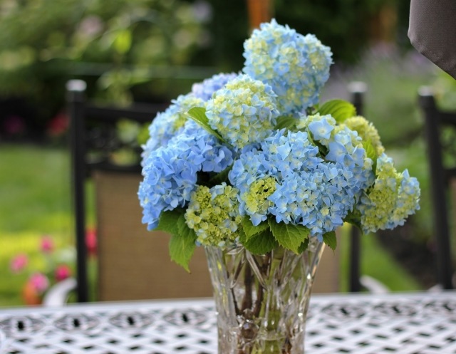 Hortensia snittblommor glasvasbukett