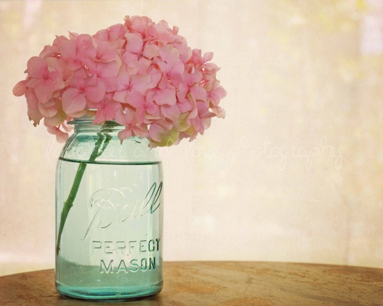 hortensia-vård-dekoration-idéer-blommor-rosa-glas-burk-vintage-vatten