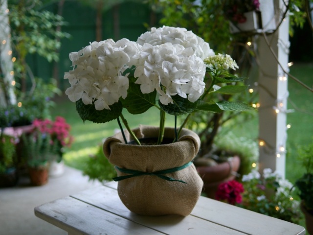 Hortensia blomkruka keramiska vackra trädgårdsdekorationer