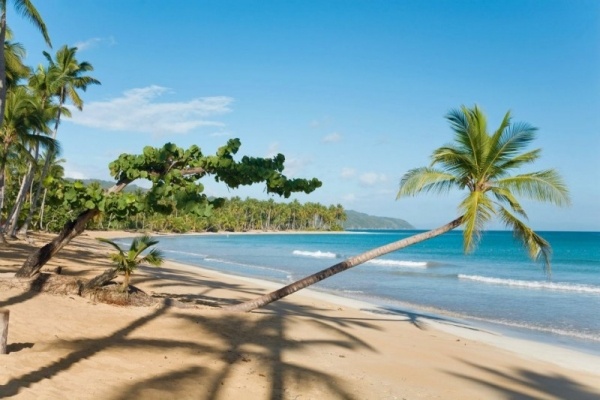 hotell i Dominikanska republiken stränder palmer