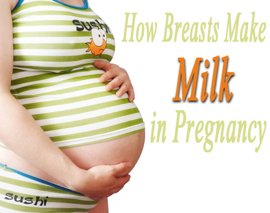 εγκυμοσύνη μητρικό γάλα