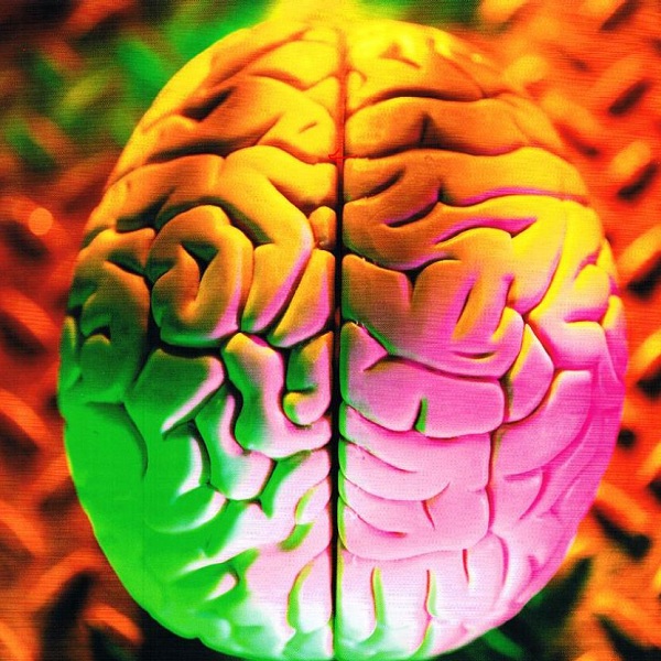 Kuinka tehdä Super Brain Yoga Asanas