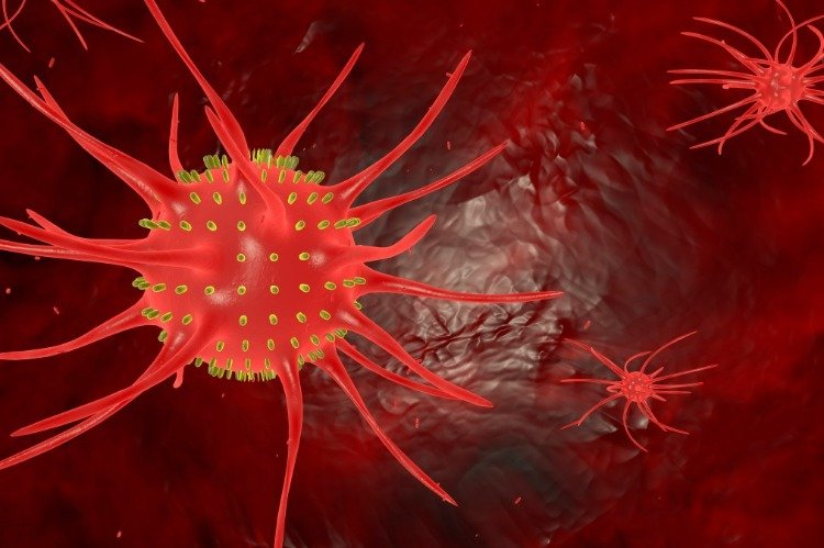 3D-illustration av koronavirus som sprids i organismen och korsreaktivitet av antikroppar