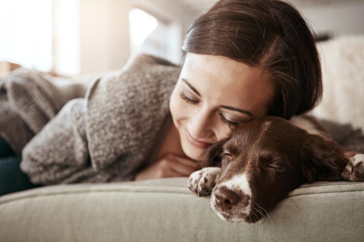 Hund och ägare sover tillsammans tips