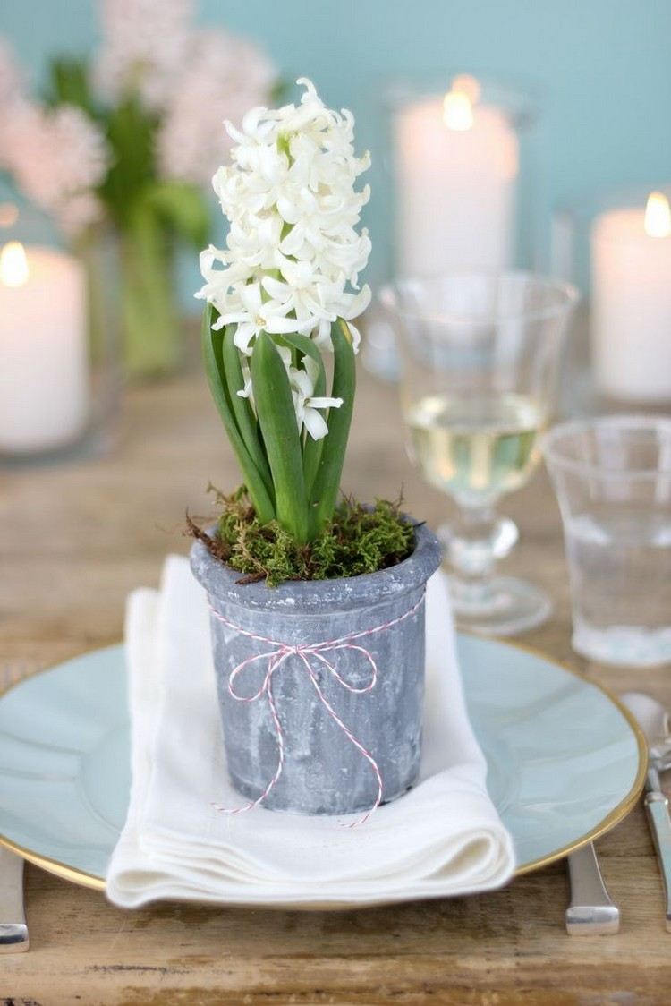Hyacint som vårdekoration vit-enmossad bordsdekoration