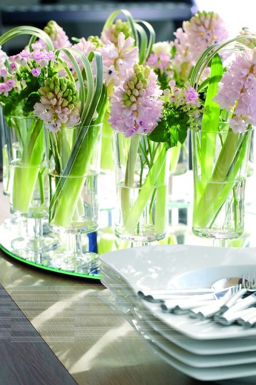 hyacint som vårdekoration för elegans vattenglas