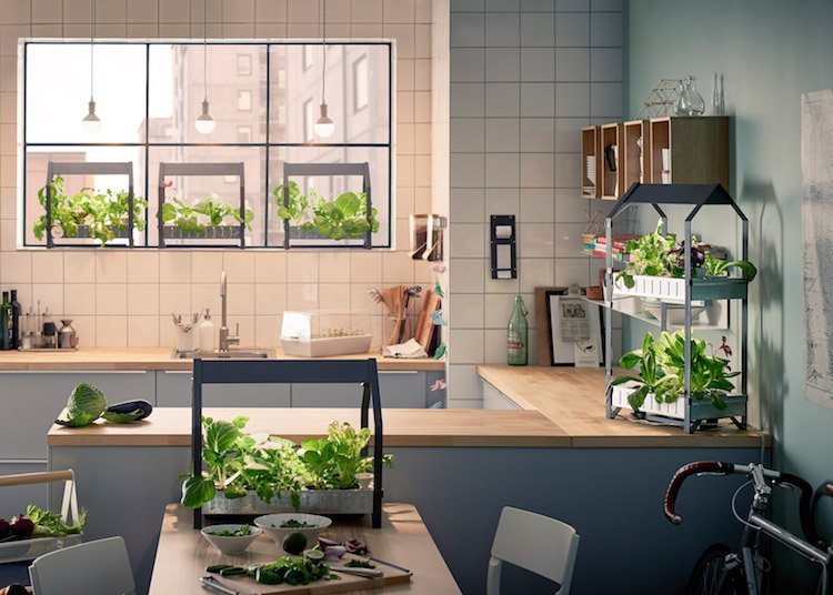 hydroponiska växter guide hydroponics trädgårdsodling hydroponiska system grödor växt växande inomhus mini trädgårdar