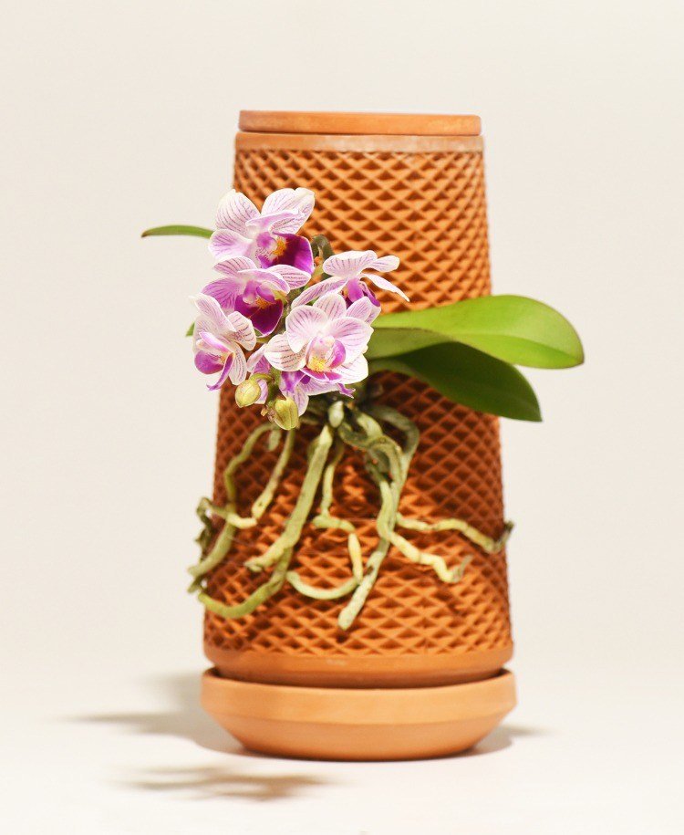 keramisk blomkruka med en blommande orkidé på utsidan med rötter