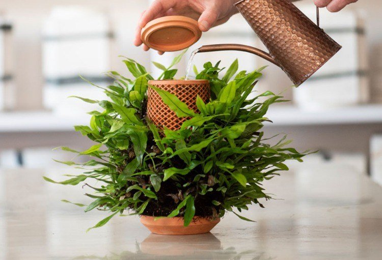 Vattenburk gjord av koppar för att fylla vatten i keramikplanter med växter utan jord