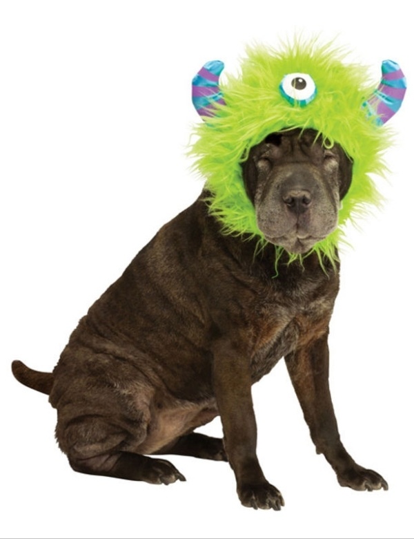 billig monster hund kostym hatt Cyclops-grön karneval halloween