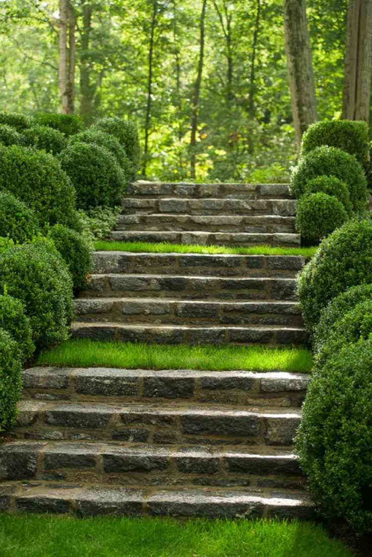 gammal-europeisk stil-trädgård-design-trappor-gräsmatta-sten-boxwood