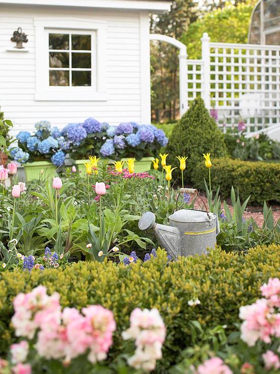 Idéer för trädgårdsblå hortensia spaljé tulpaner