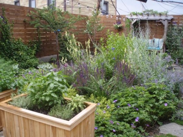 idéer trädgårdsdesign omvandling från trädgårdsbadkar