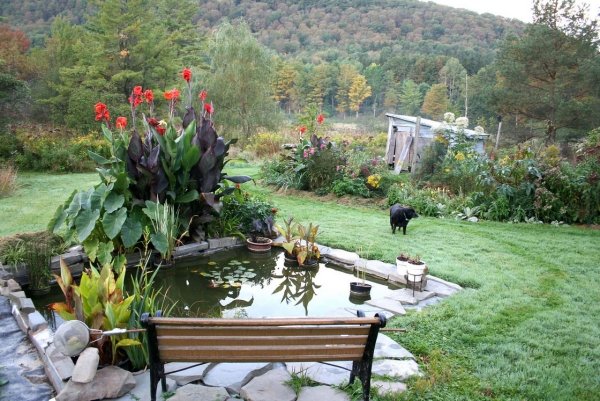 idéer trädgård design hemma tillämpa bänk damm
