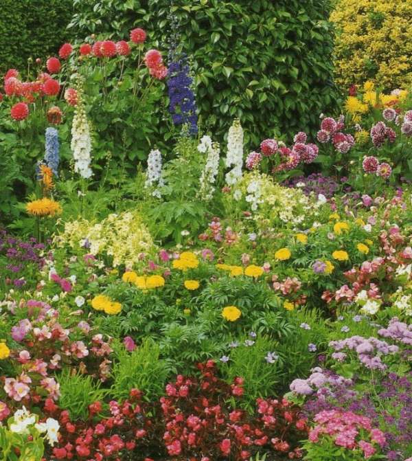 tillämpa trädgårdsdesignidéer hemma färgglada trädgård