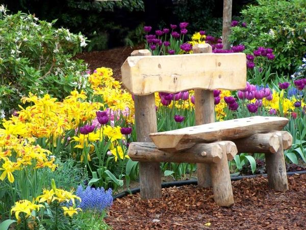 trädgårdsdesignidéer att applicera hemma lila tulpaner