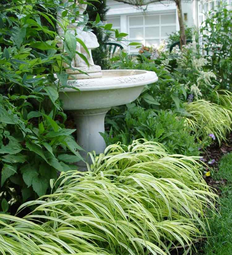 Idéer-trädgård-design-japansk-gräs-buskar-ljusgröna-betor-blad-prydnadsväxter-buskar-trädgård fontaene