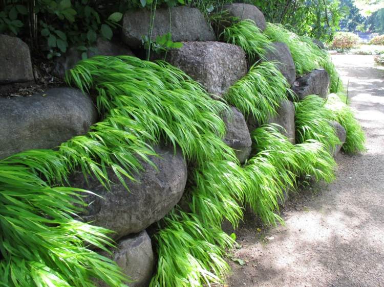Idéer-trädgårdsdesign-japansk-skog-gräs-glada-gröna-sten-trädgård-väg-kvarhållande väggblock