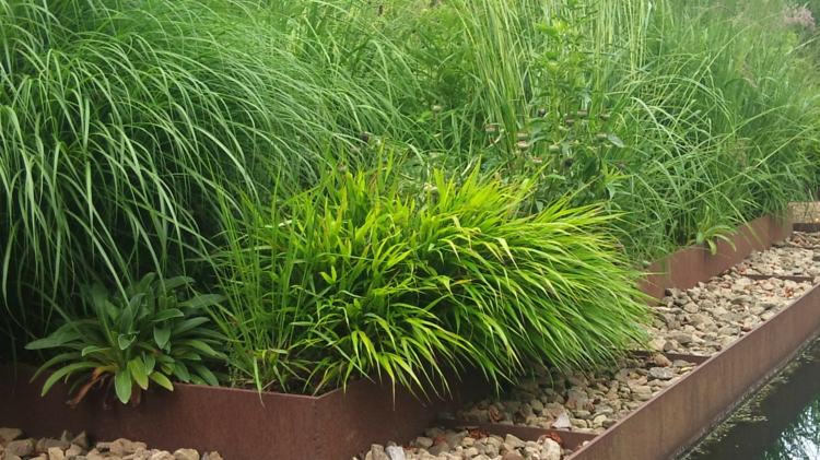 Idéer-trädgårdsdesign-japansk-gräs-corten-stål-upphöjd säng-prydnadsväxter blad-växter-terrasserande vatten damm